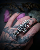 Spine Ring