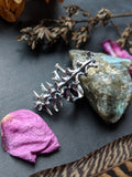 Spine Ring