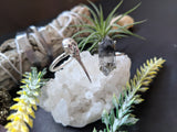 Hummingbird Skull Ring