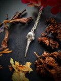 Moonstone Hummingbird Skull Necklace