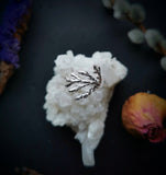 Cast Cedar Ring