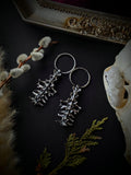 Spine Ear Weights
