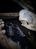Spine Ear Weights