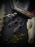 Spine Ear Weights