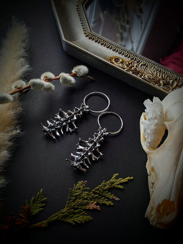Spine Ear Weights