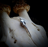 Cast Hummingbird Skull Necklace