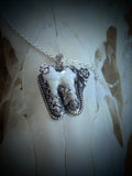 Wolf Tooth Necklace