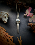 Cast Hummingbird Skull Necklace